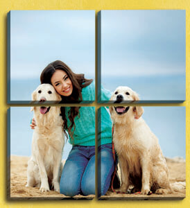 https://www.yl.com.my:449/admin/uploads/products/9dee85d1-39c3-4247-8c79-4d275c4ff843/4panelssquare_1753.jpg